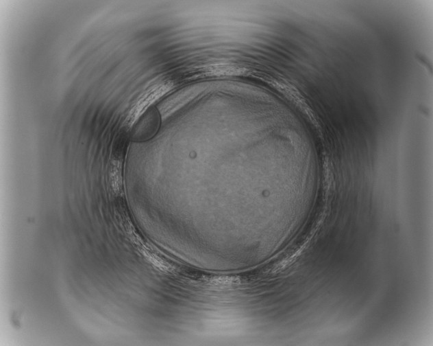 X0000101160889200807251108