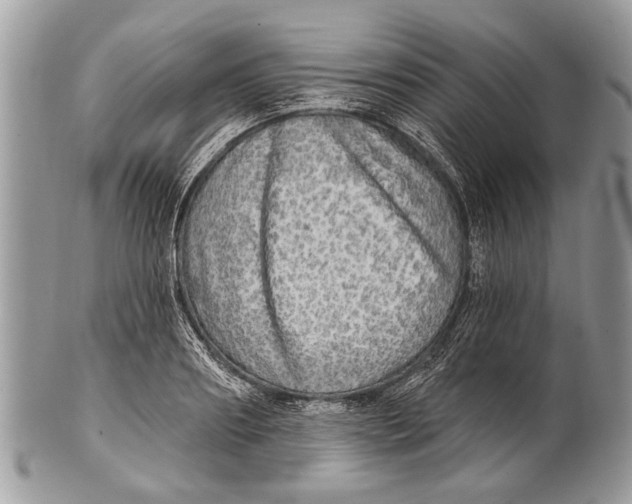 X0000101160890200807251108