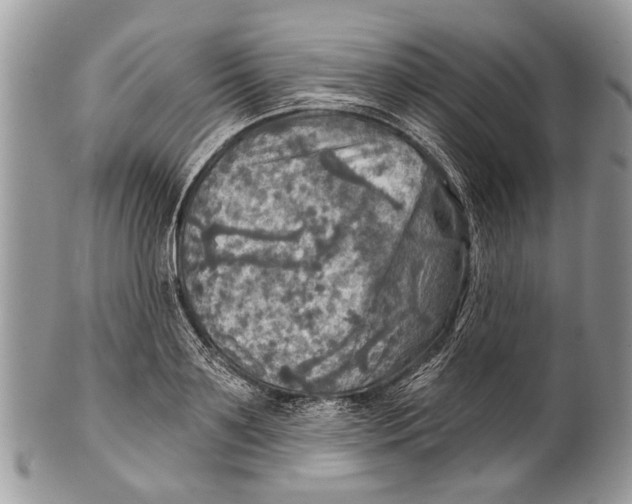 X0000101160891200807251108
