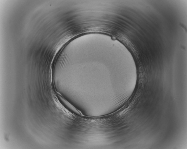 X0000101160892200807251108