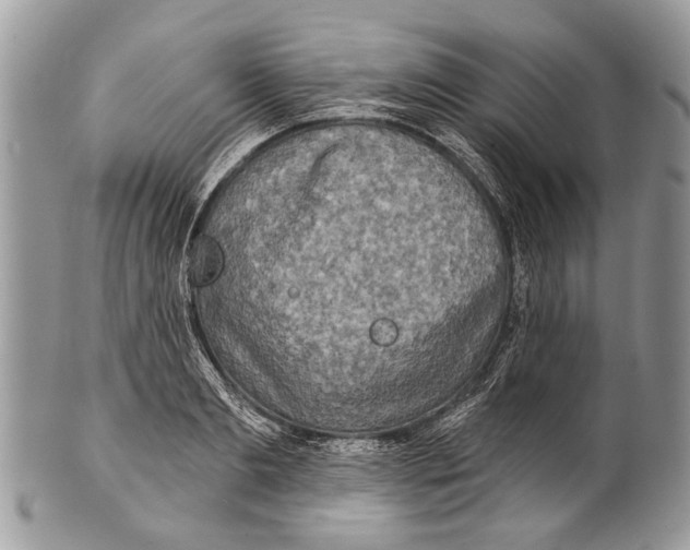 X0000101160893200807251108