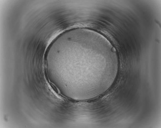 X0000101160894200807251108