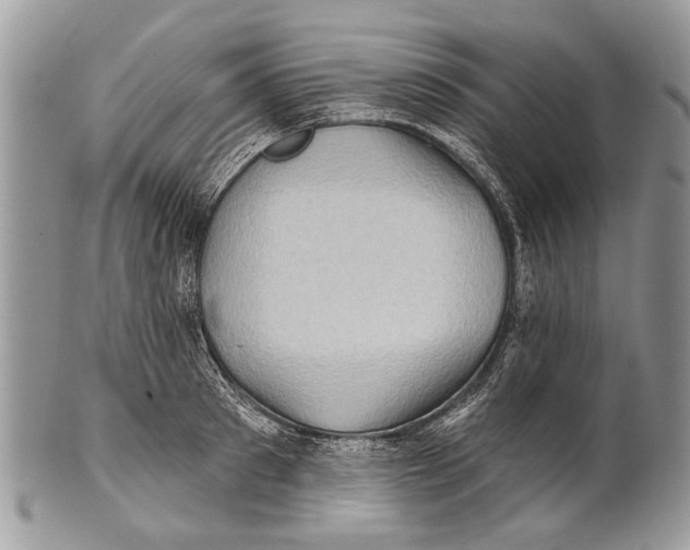 X0000101160897200807251108