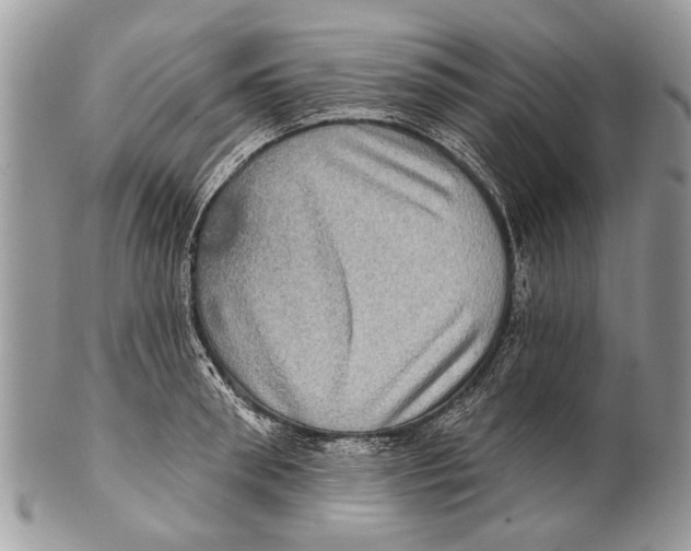 X0000101160898200807251108