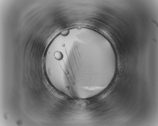 X0000101160899200807251108