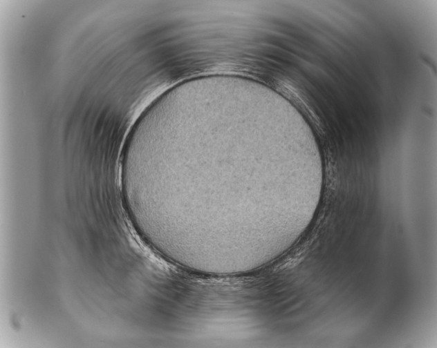 X0000101160900200807251108