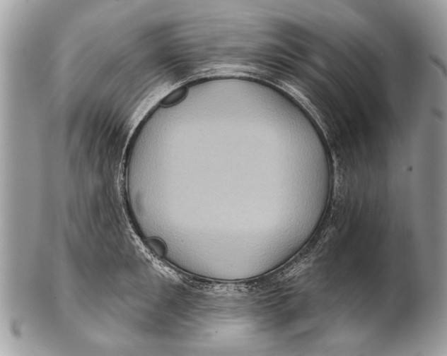 X0000101160901200807251108