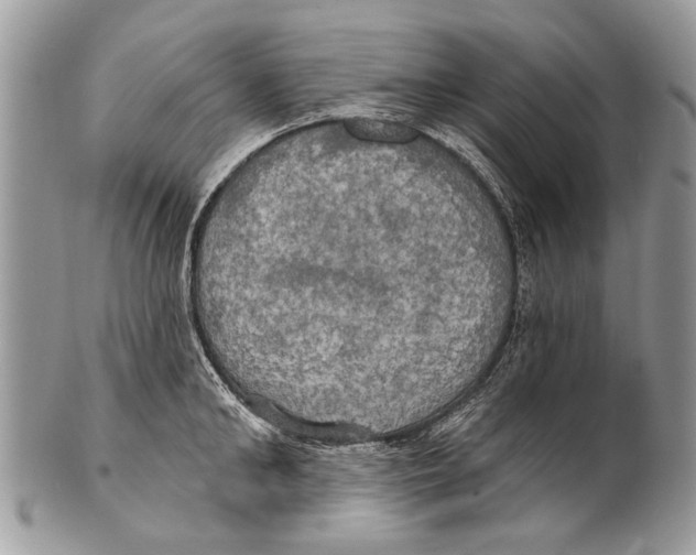 X0000101160902200807251108