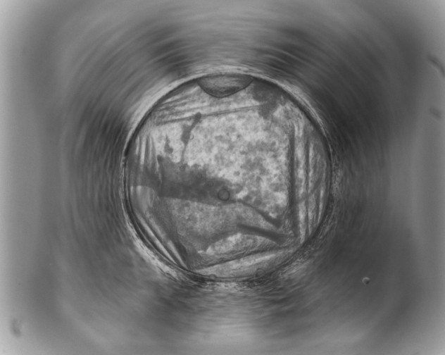 X0000101160903200807251108
