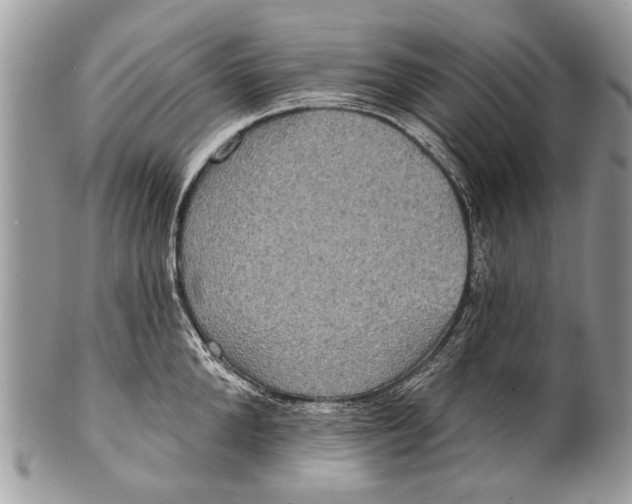 X0000101160904200807251108
