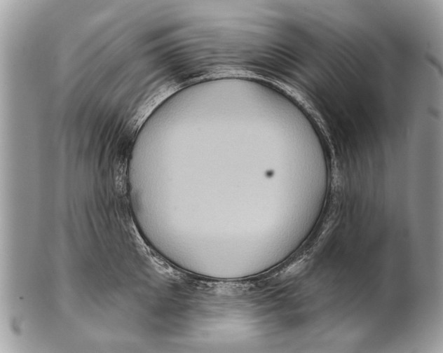 X0000101160905200807251108