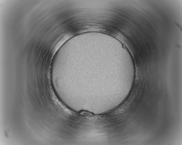 X0000101160906200807251108