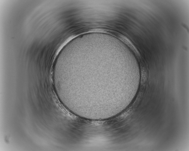X0000101160908200807251108