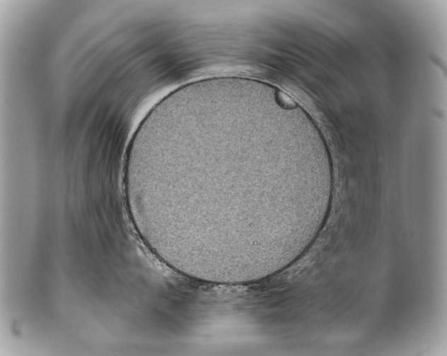 X0000101160912200807251108