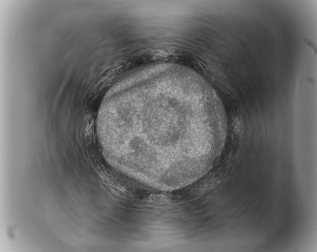X0000101160914200807251107