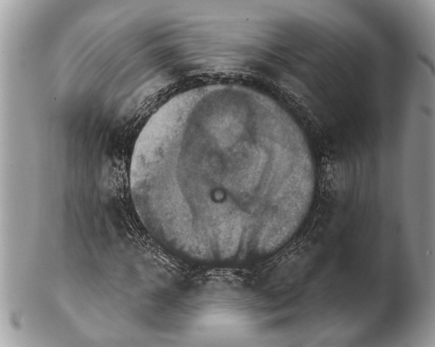 X0000101160918200807251107