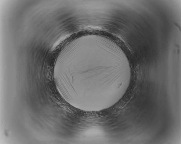 X0000101160919200807251107