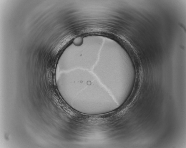 X0000101160921200807251107