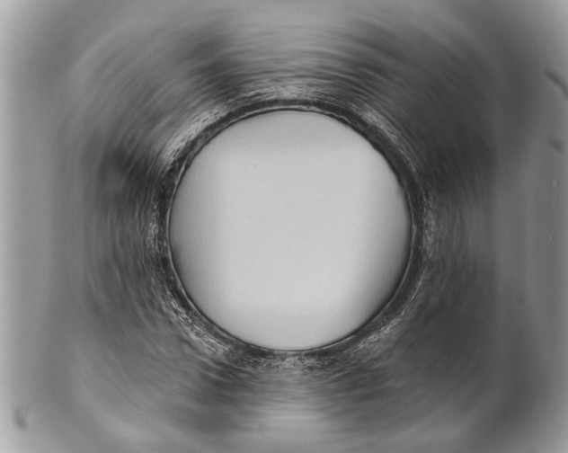 X0000101160922200807251107