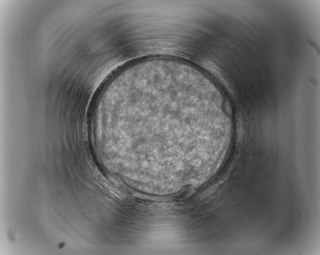 X0000101160924200807251107
