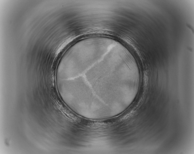 X0000101160925200807251107