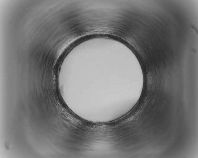X0000101160926200807251107