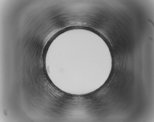 X0000101160927200807251107