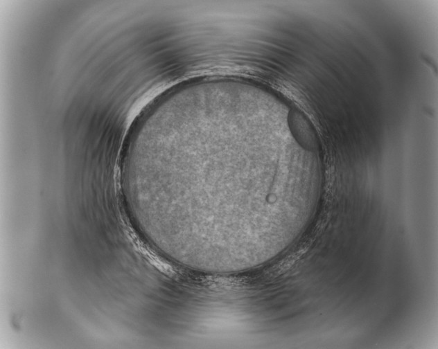 X0000101160928200807251107