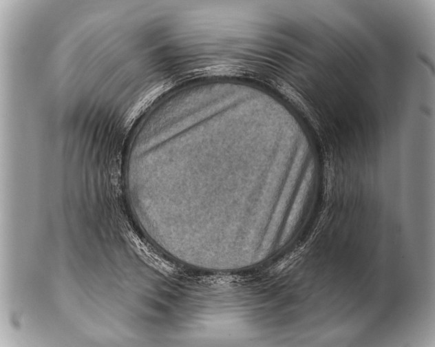 X0000101160930200807251107