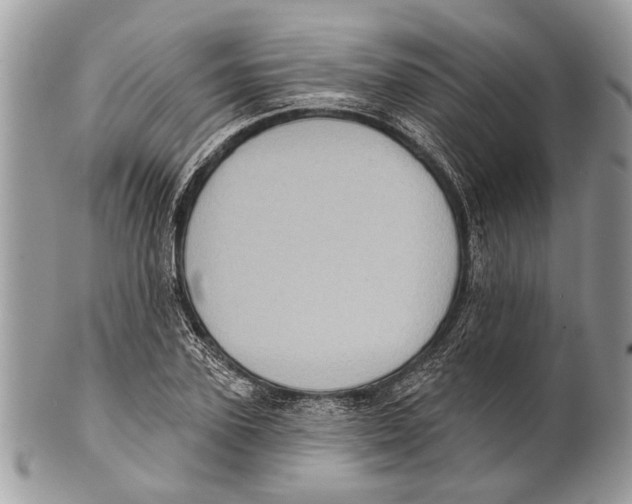 X0000101160931200807251107