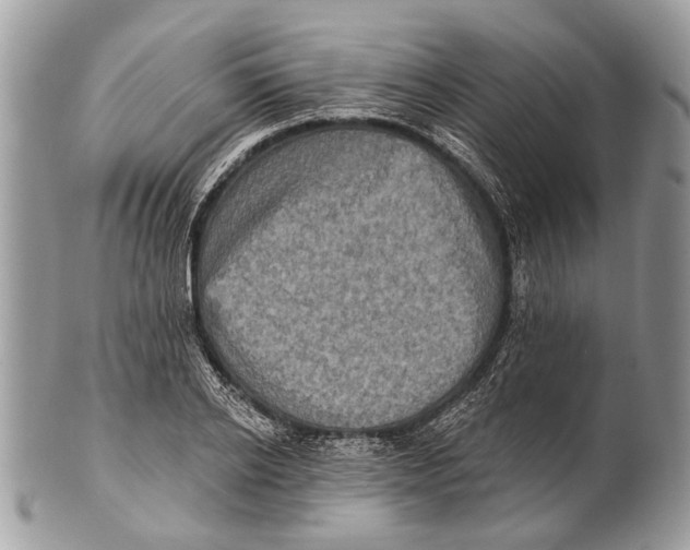 X0000101160934200807251107