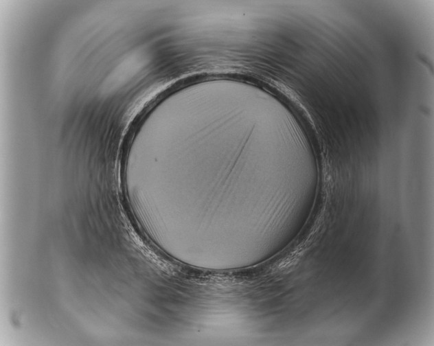 X0000101160935200807251107