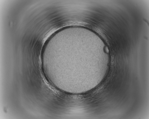 X0000101160936200807251107