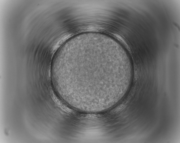 X0000101160938200807251107