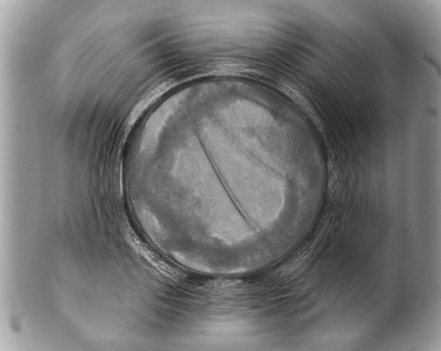 X0000101160939200807251107