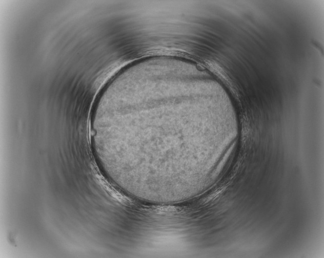 X0000101160940200807251108