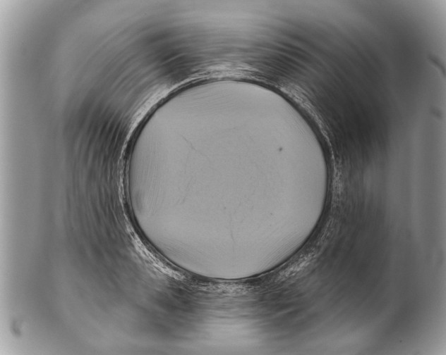 X0000101160941200807251108