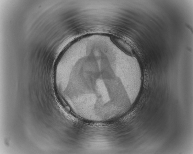 X0000101160942200807251108