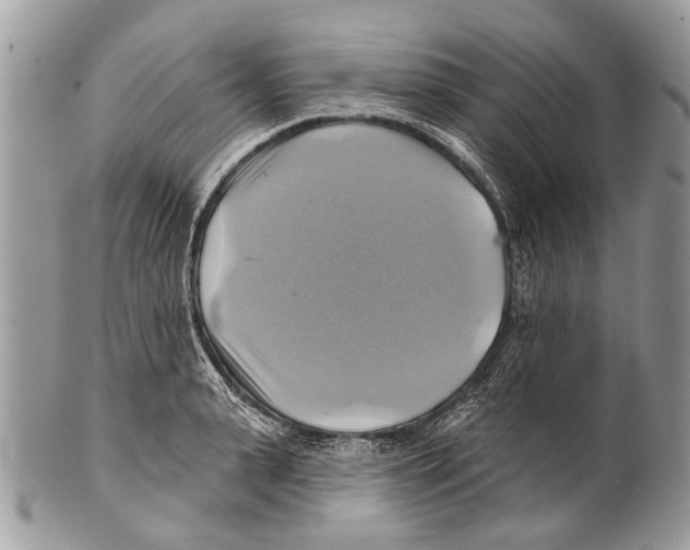 X0000101160943200807251108