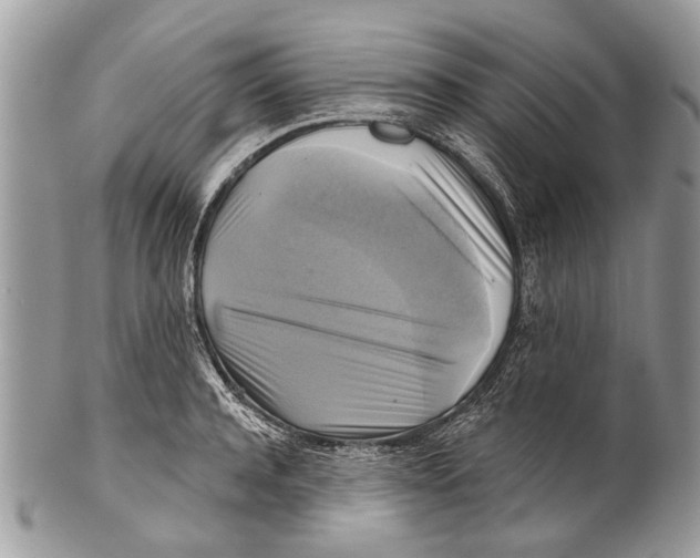 X0000101160944200807251108