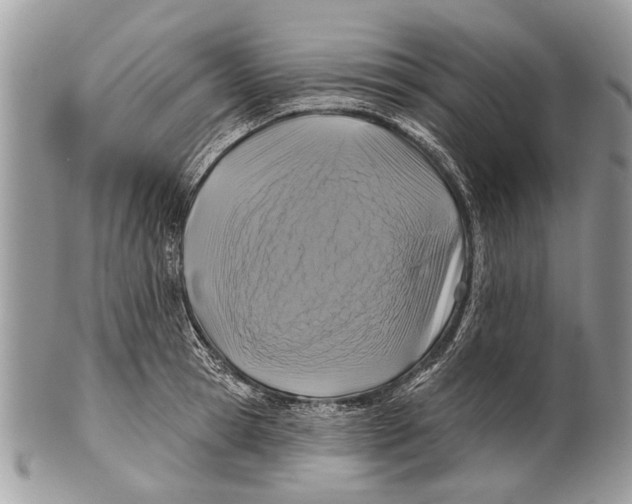 X0000101160945200807251108