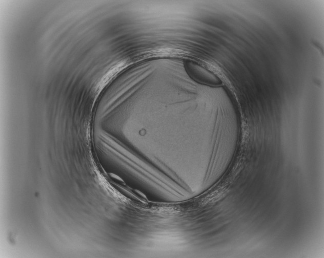 X0000101160946200807251108