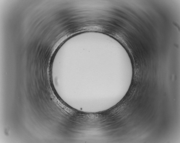 X0000101160947200807251108
