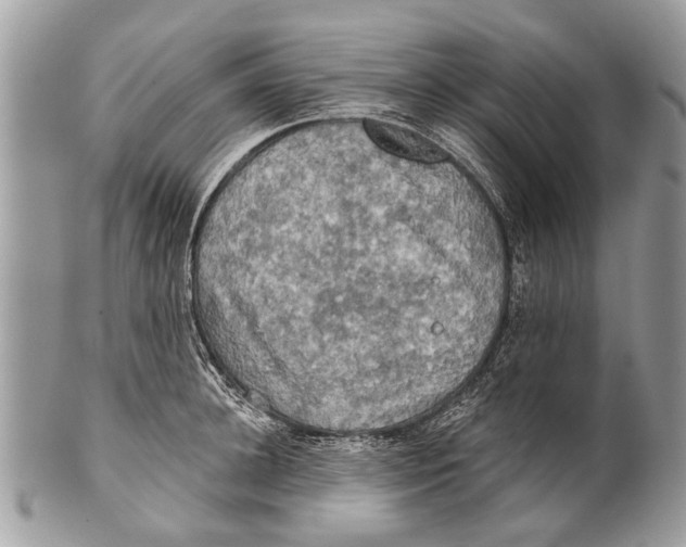 X0000101160948200807251108