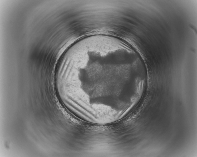 X0000101160949200807251108