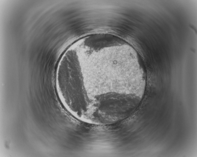 X0000101160950200807251108