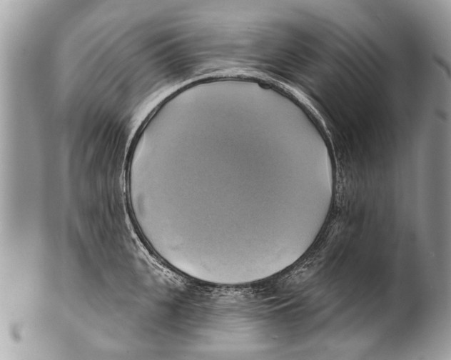 X0000101160951200807251108