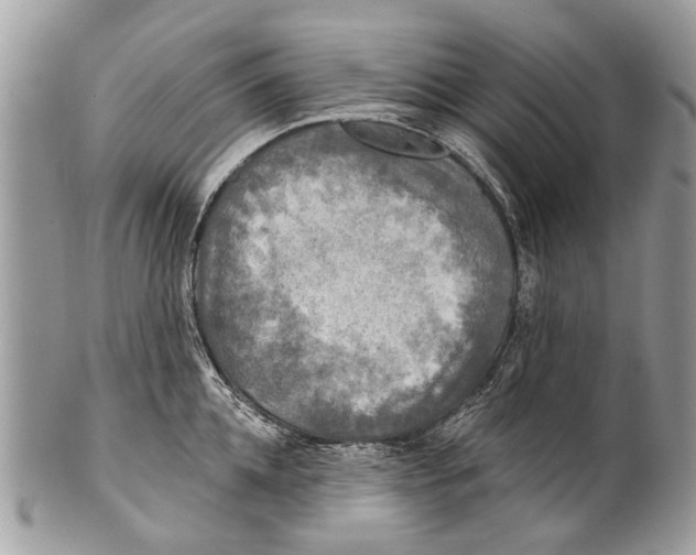 X0000101160952200807251108