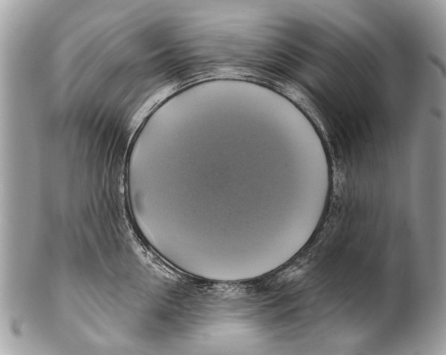 X0000101160954200807251108