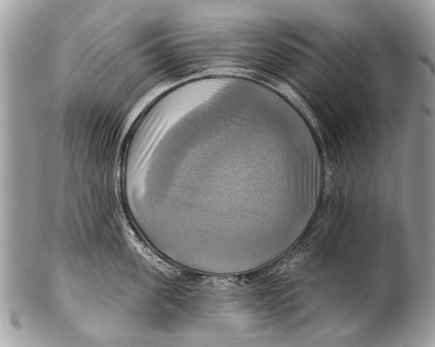 X0000101160955200807251108